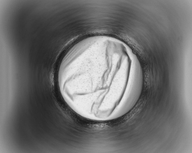 X0000095950112200802081305