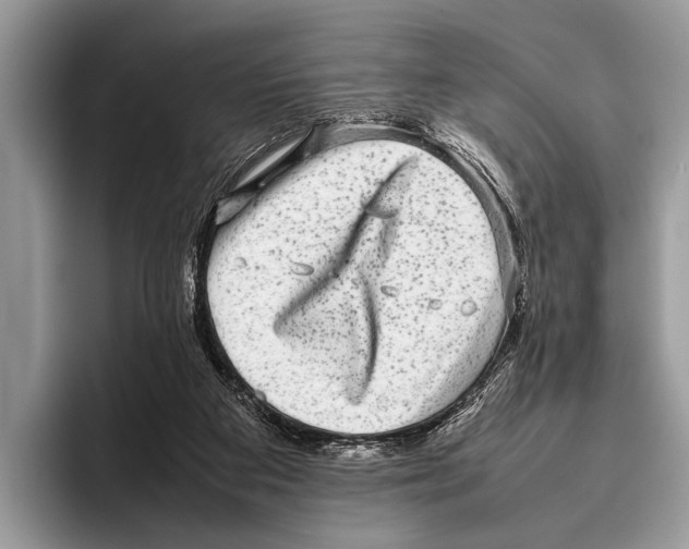 X0000095950113200802081305