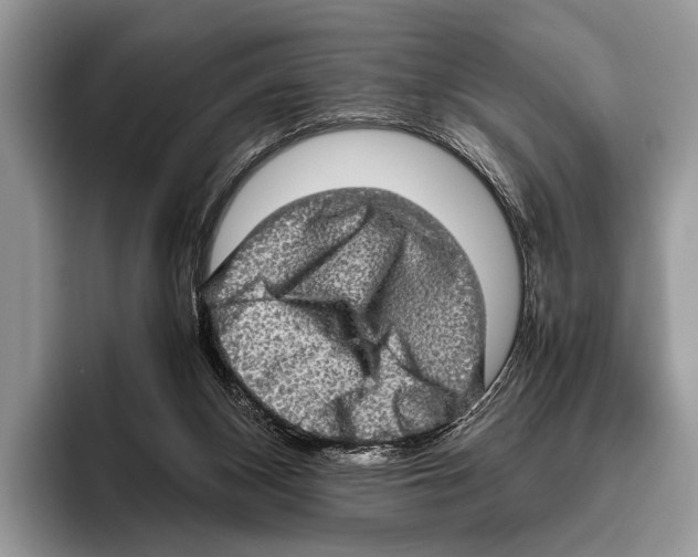 X0000095950116200802081305