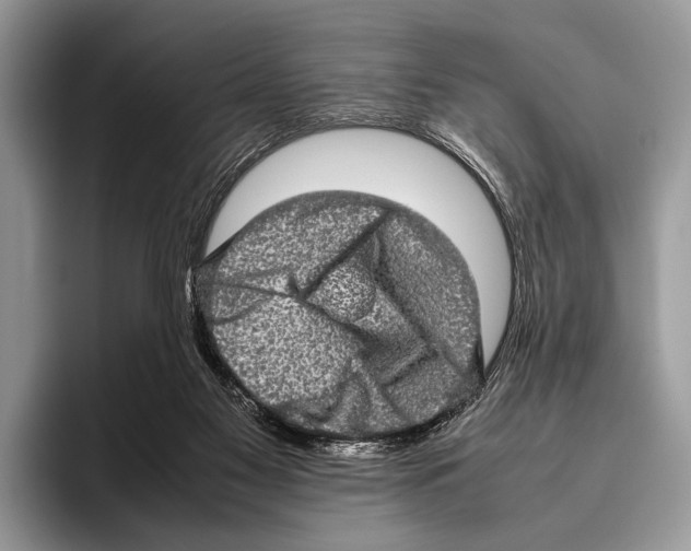 X0000095950117200802081305