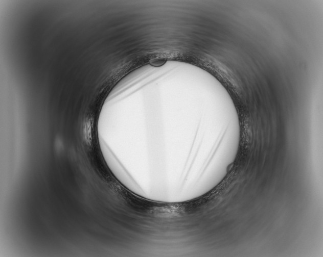 X0000095950118200802081305