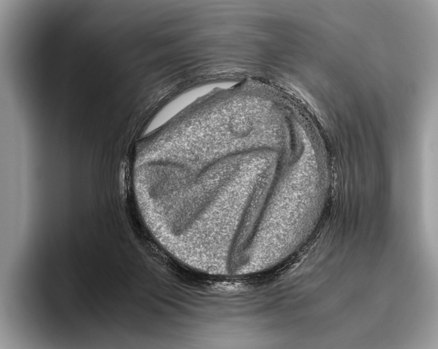 X0000095950119200802081305