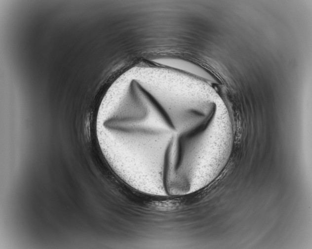 X0000095950120200802081305