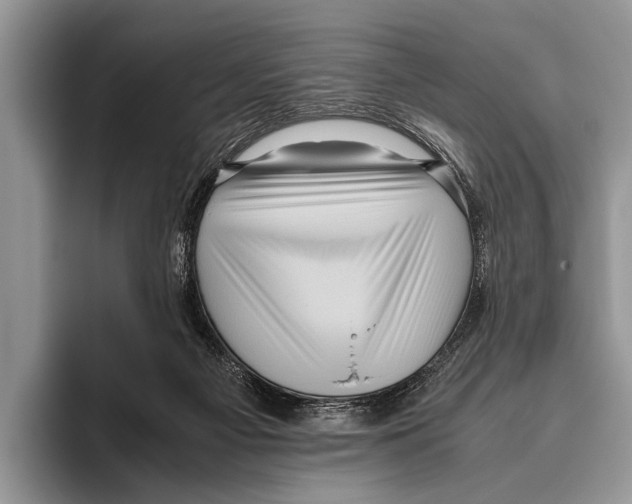 X0000095950121200802081305