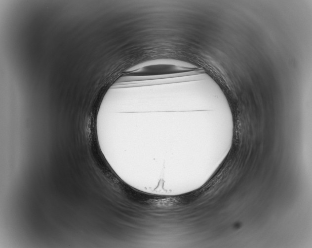 X0000095950122200802081305