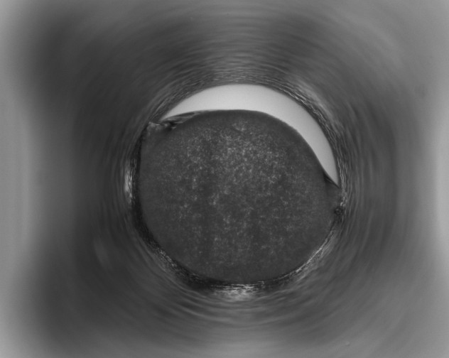 X0000095950124200802081305