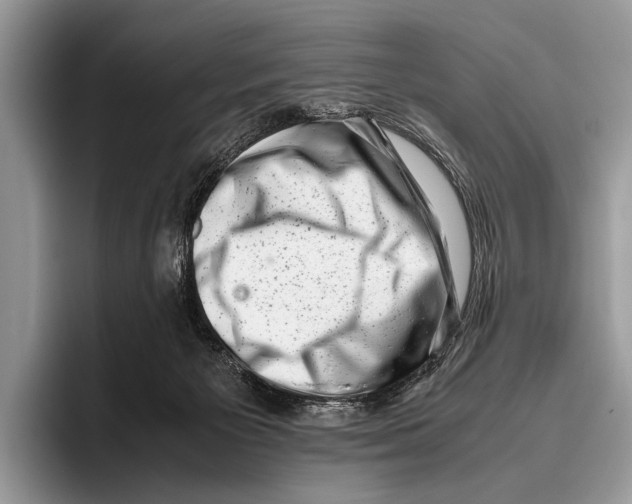 X0000095950125200802081305