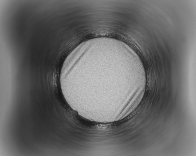 X0000095950126200802081305