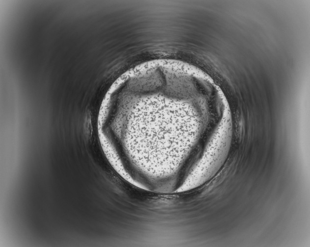 X0000095950128200802081305