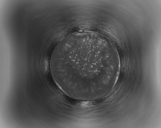 X0000095950130200802081305