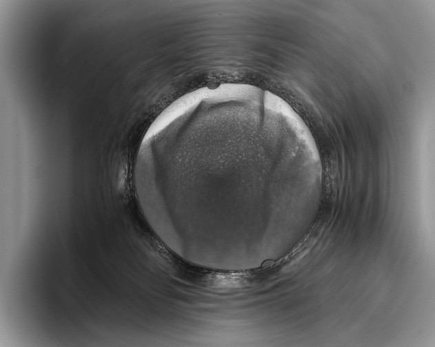 X0000095950134200802081305