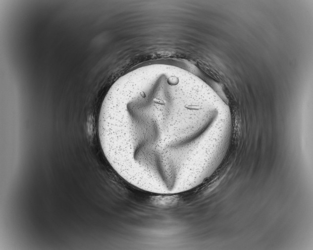 X0000095950135200802081305