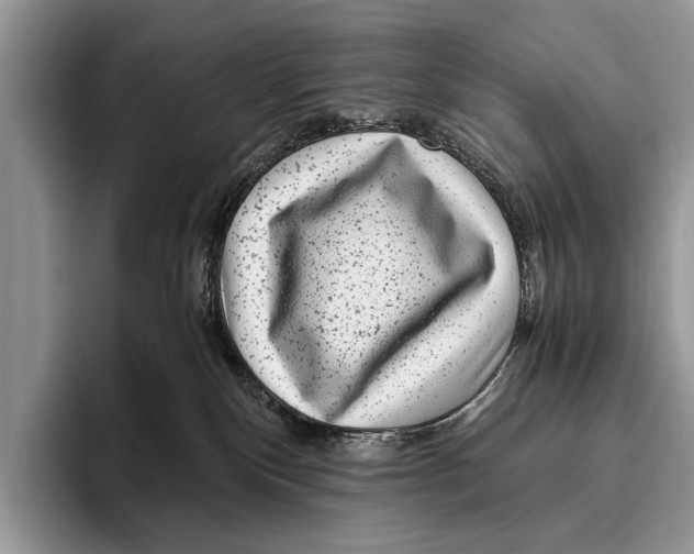 X0000095950136200802081305