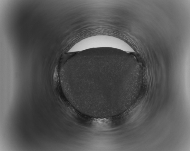 X0000095950137200802081305