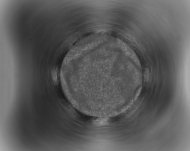 X0000095950138200802081305