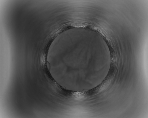 X0000095950139200802081305