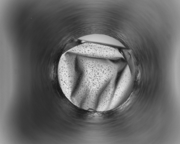 X0000095950140200802081305