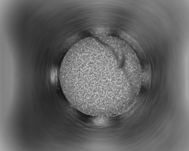 X0000095950142200802081305