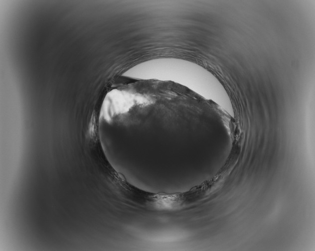 X0000095950143200802081305