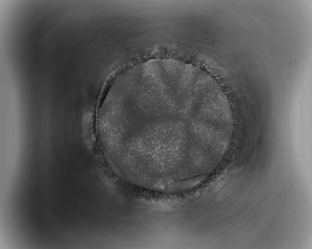 X0000095950144200802081305