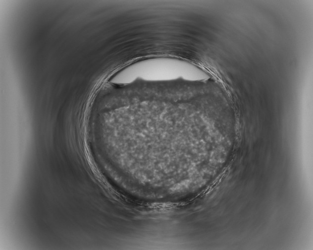 X0000095950145200802081304