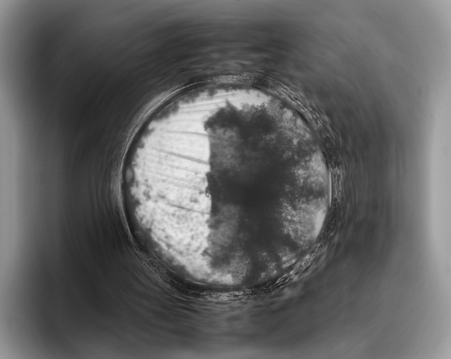 X0000095950147200802081304