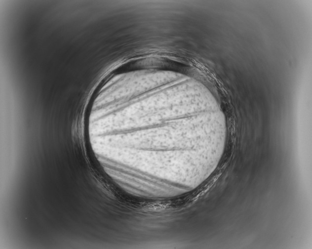 X0000095950148200802081304