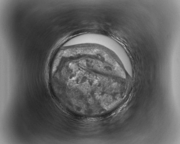 X0000095950149200802081304