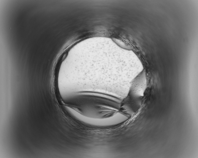 X0000095950150200802081304