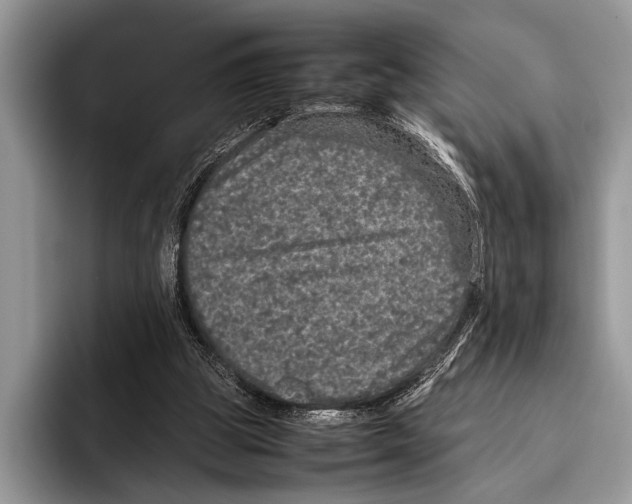 X0000095950153200802081304