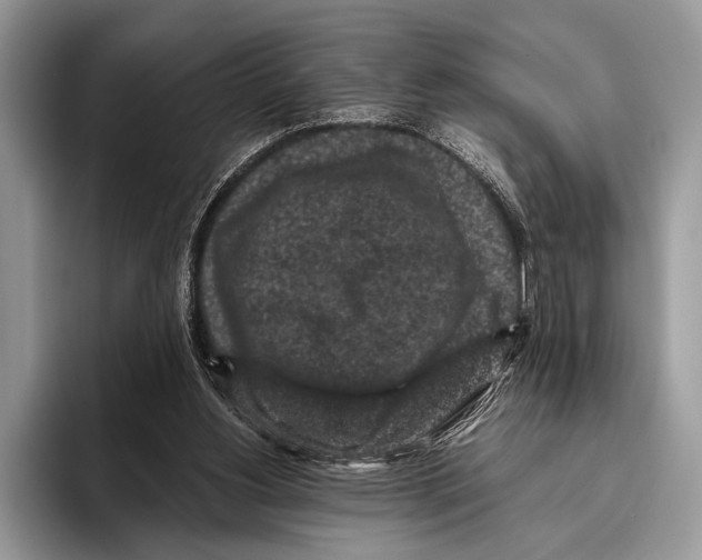 X0000095950156200802081304