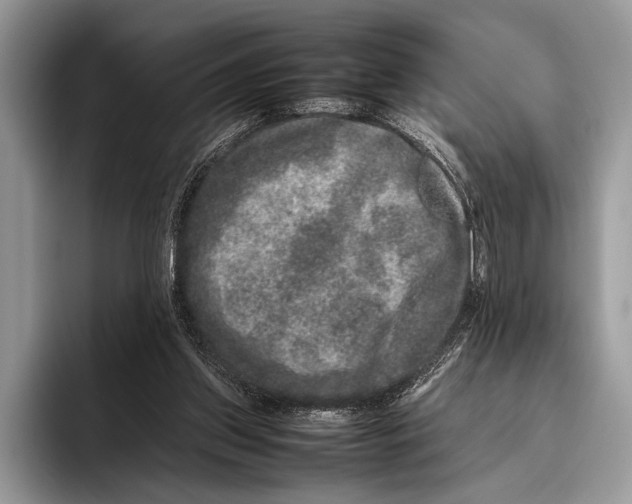 X0000095950157200802081304