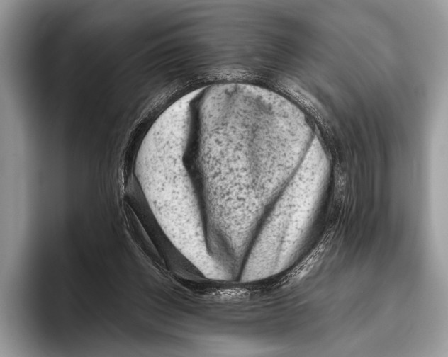 X0000095950158200802081304