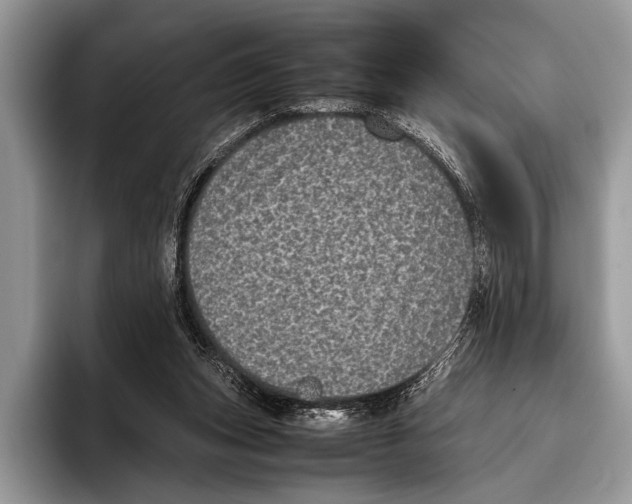 X0000095950159200802081304