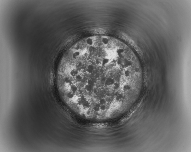 X0000095950161200802081304