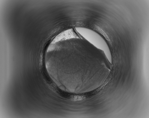 X0000095950163200802081304