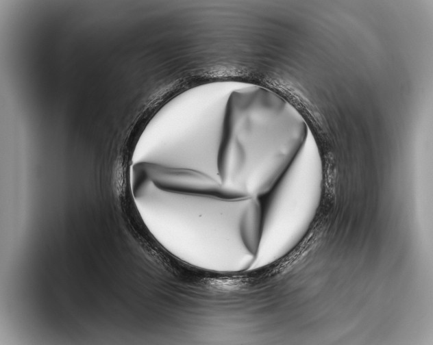 X0000095950164200802081304