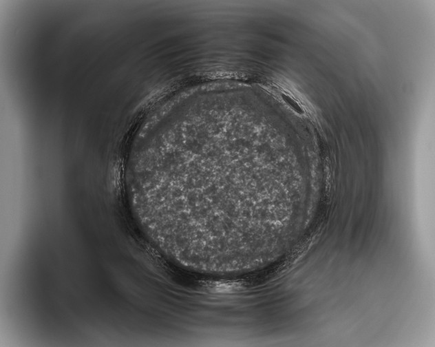 X0000095950165200802081304