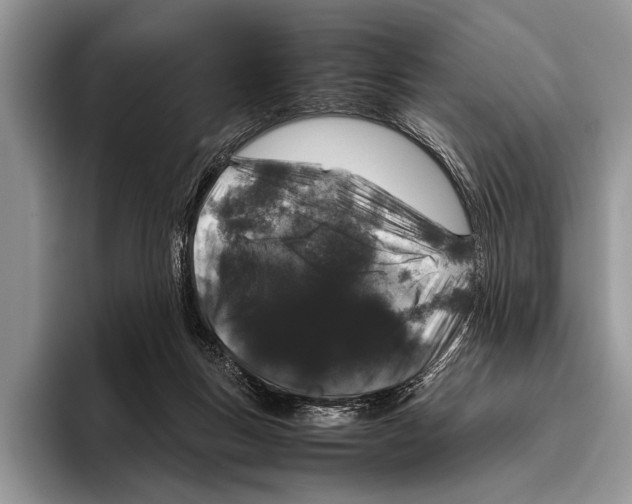 X0000095950167200802081304