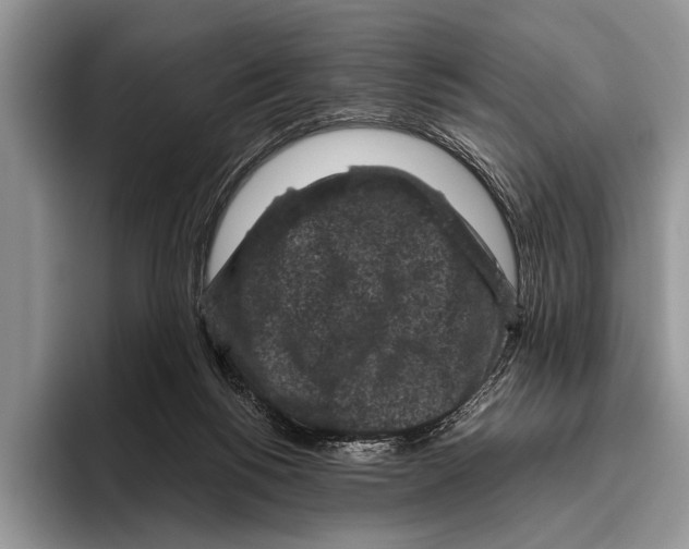 X0000095950168200802081304