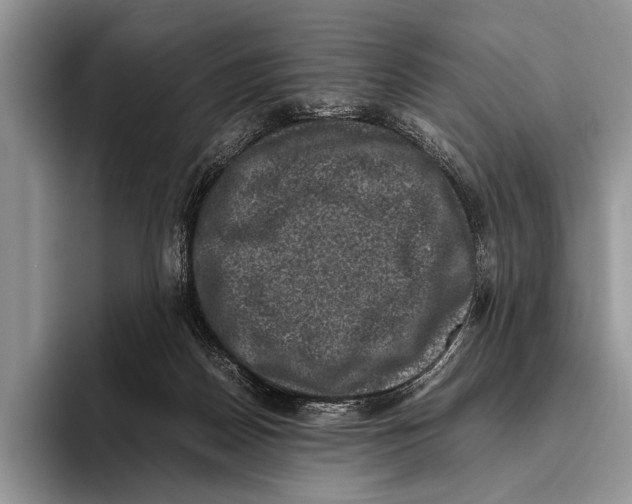 X0000095950170200802081304