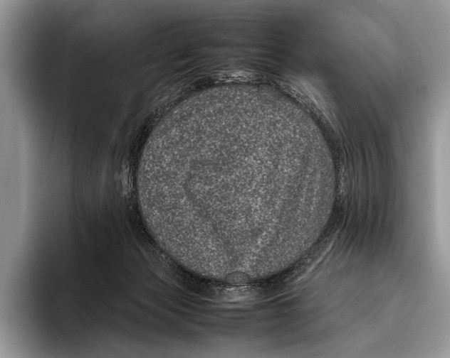 X0000095950173200802081304