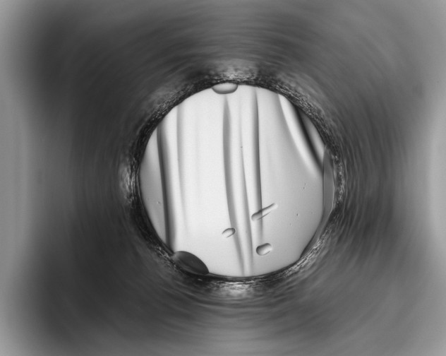 X0000095950176200802081304