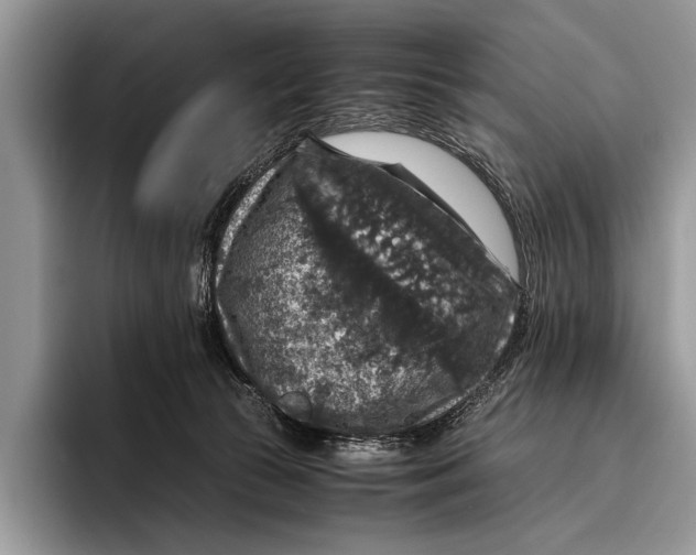 X0000095950177200802081304