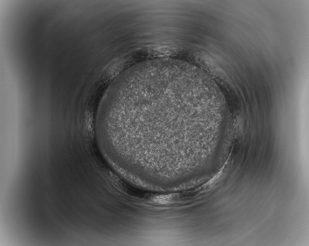 X0000095950178200802081304