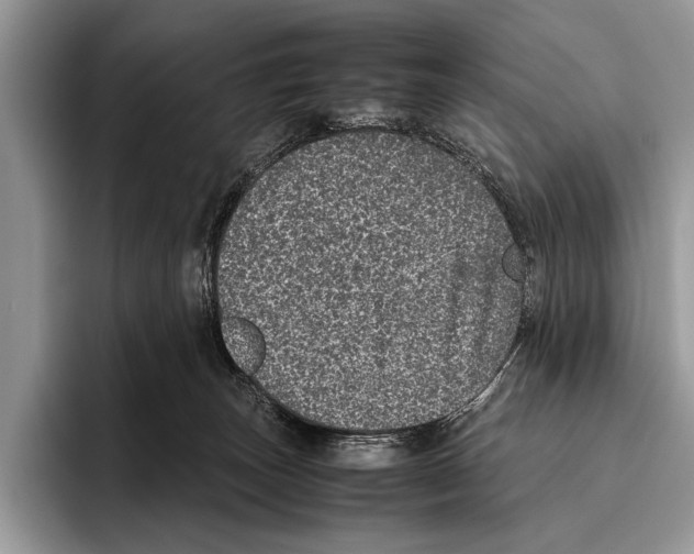 X0000095950179200802081304