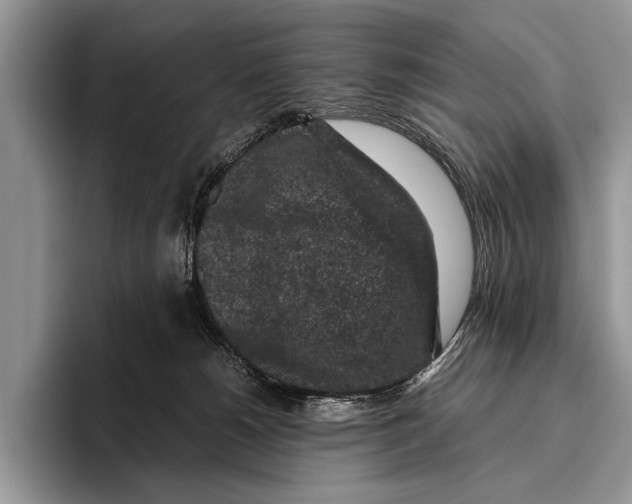 X0000095950180200802081304