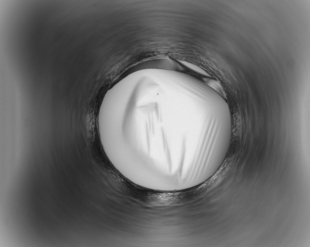 X0000095950184200802081305