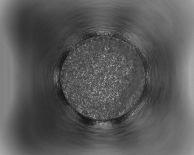 X0000095950185200802081305