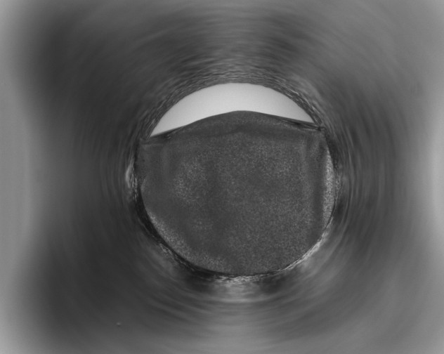 X0000095950186200802081305